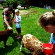Flamig Farm – A Kid Friendly Thing To Do Review